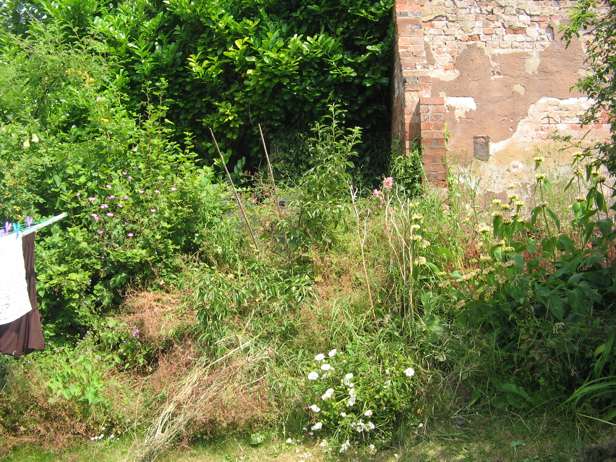 How can you clear an overgrown garden?